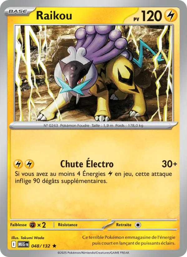 Carte Raikou 048/132 - Méga-Évolution