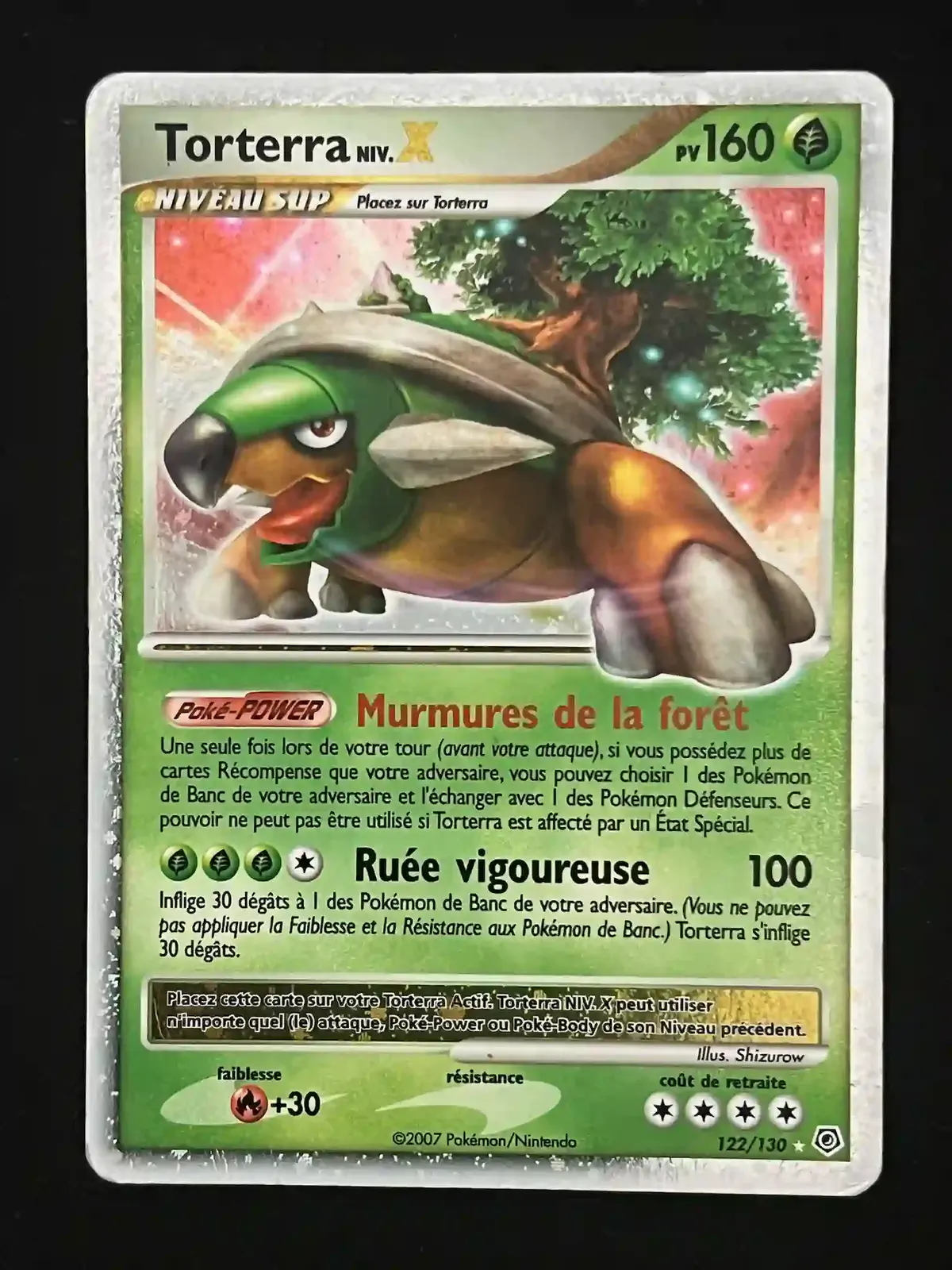 Torterra Niv.X