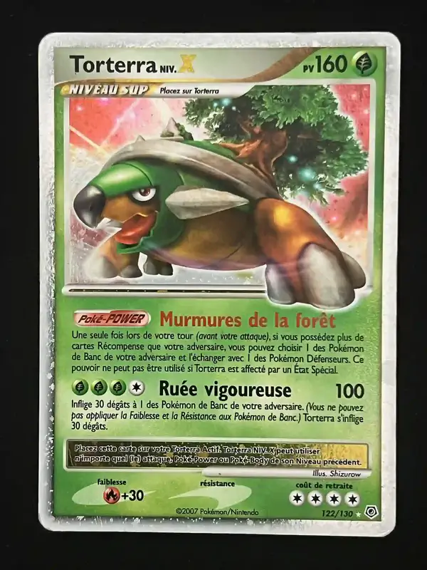 Torterra Niv.X