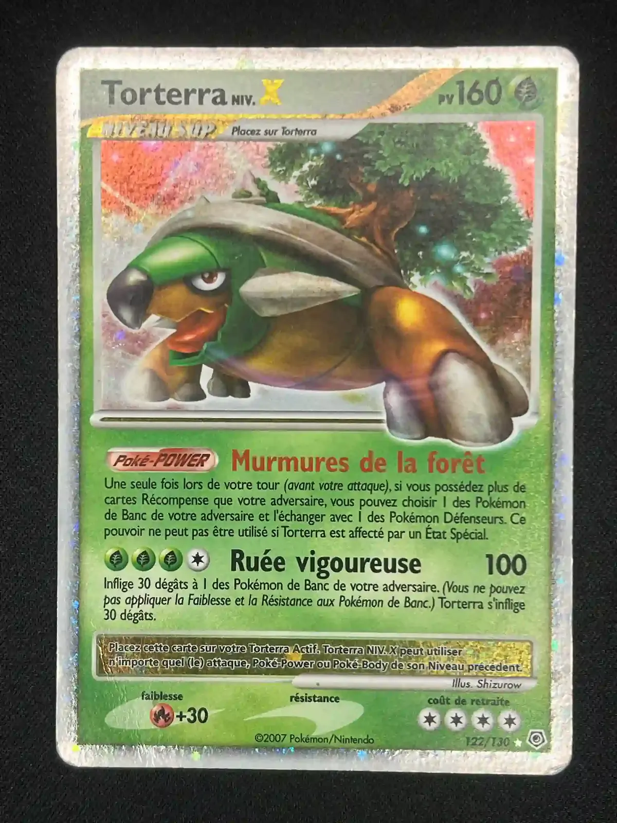 Torterra Niv.X - Image 3